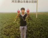 图片8.png