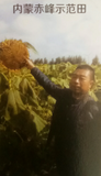 图片10.png